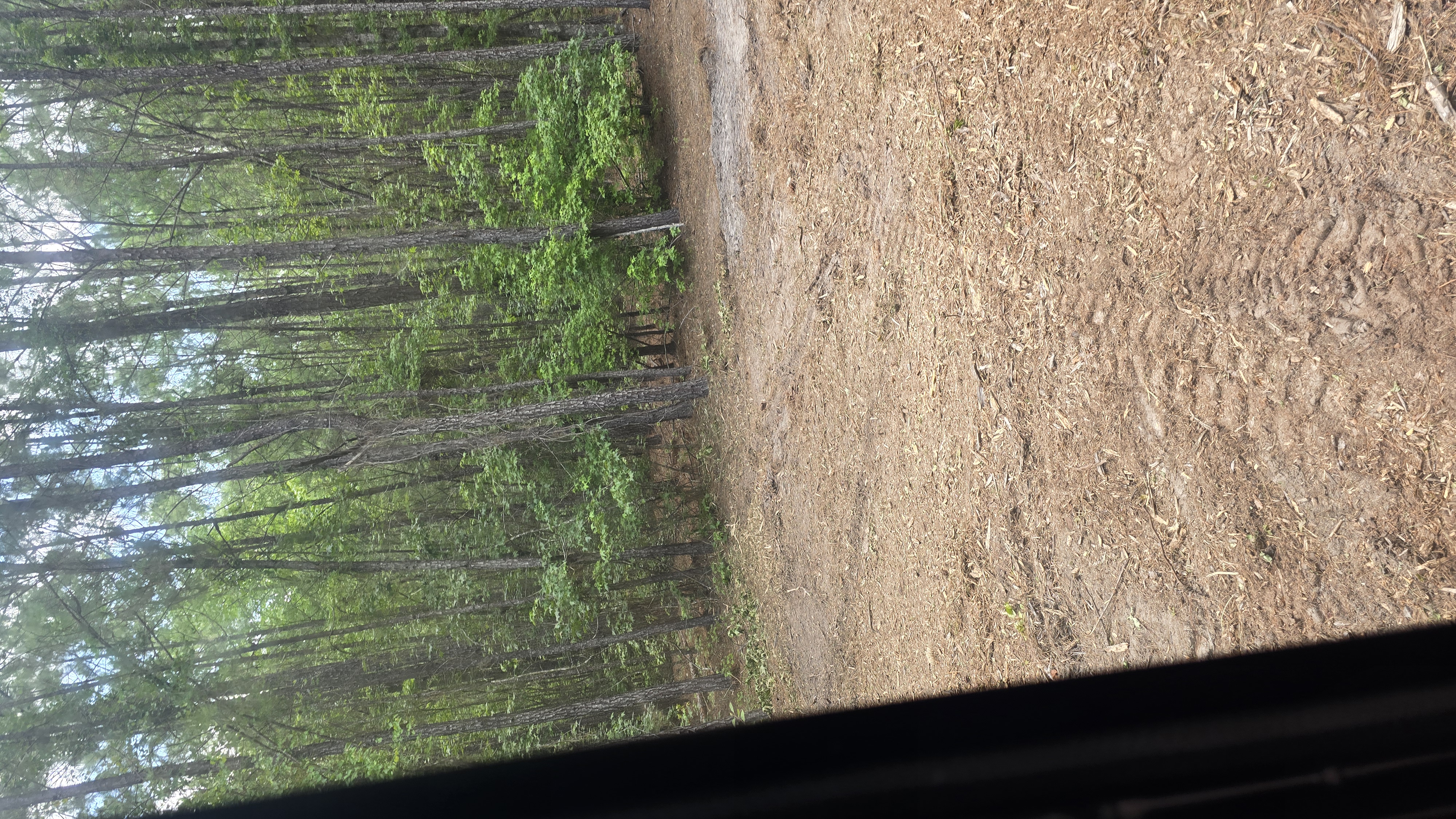 Cleared wooded property after forestry mulching